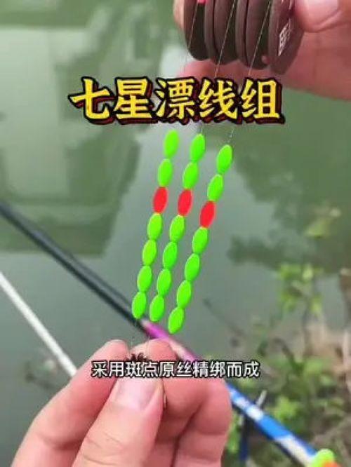 七星漂钓鱼技巧视频