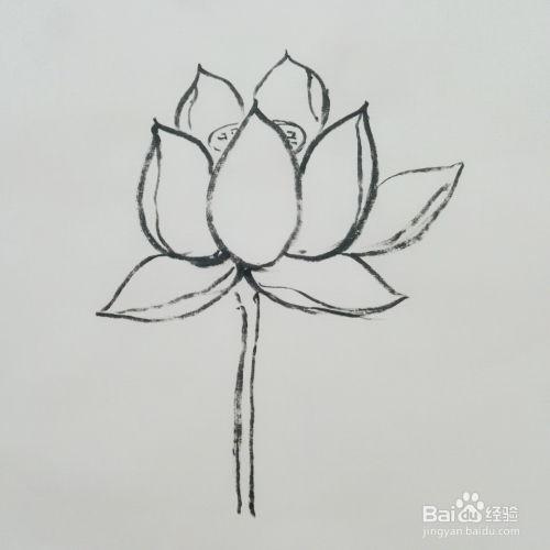 国画荷花画法视频