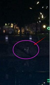 野外活春宫视频,揭秘活春宫视频背后的故事